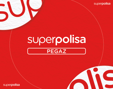 Superpolisa.pl PEGAZ | Podsumowanie roku 2022