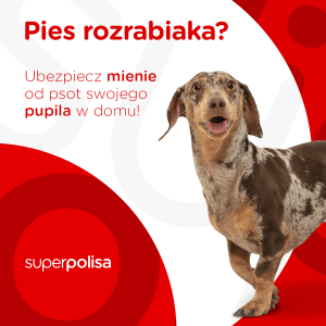 Ubezpieczenie pupila | Ubezpieczenie Psa