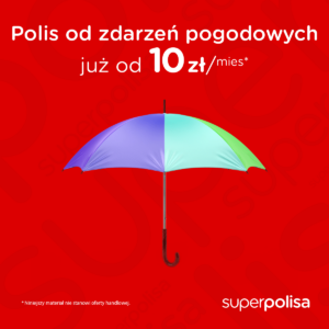 Kolorowa parasolka chroniąca od desczczu
